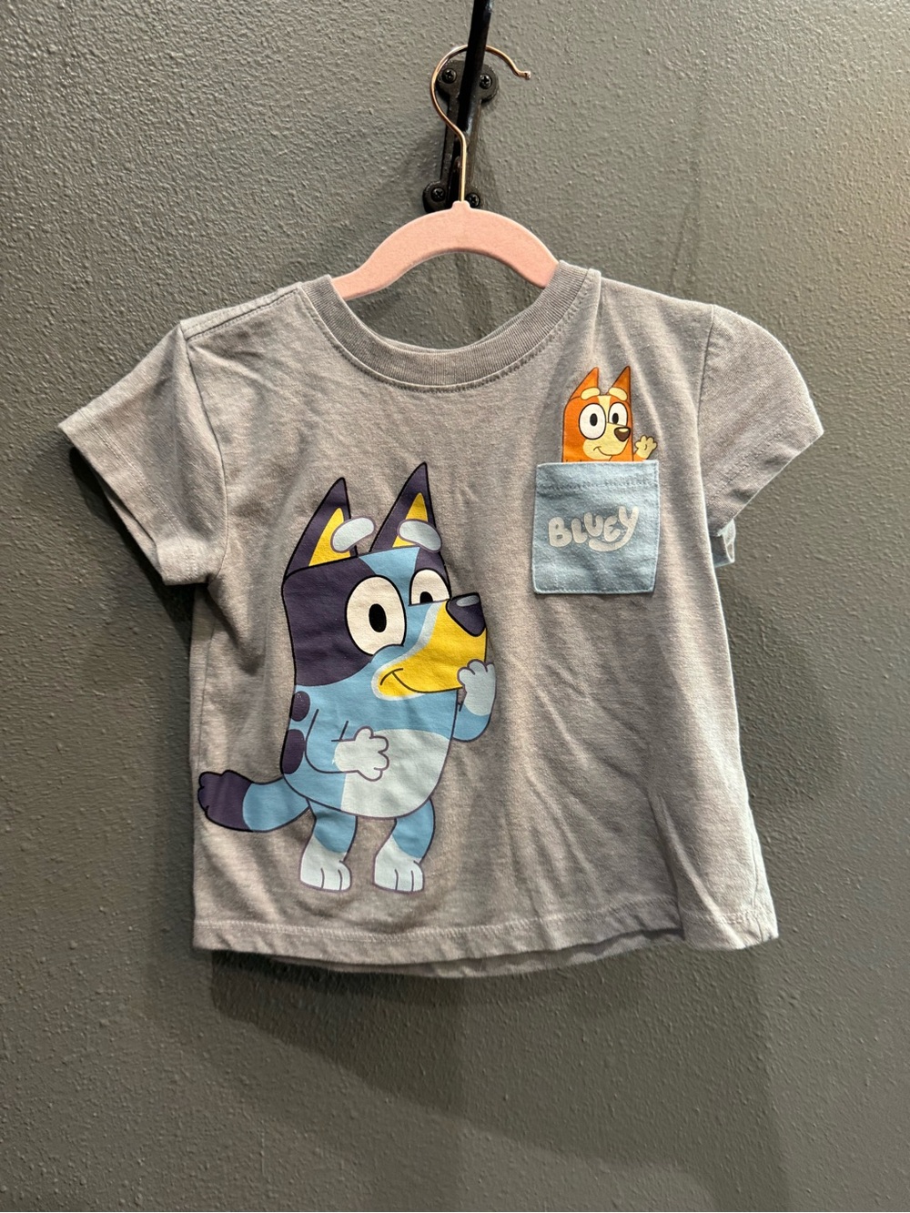 Bluey Gray Short-Sleeve Kids Tee with Character Pocket